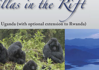 e-brochure Dartmouth Alumni Travel, Immersion Journeys